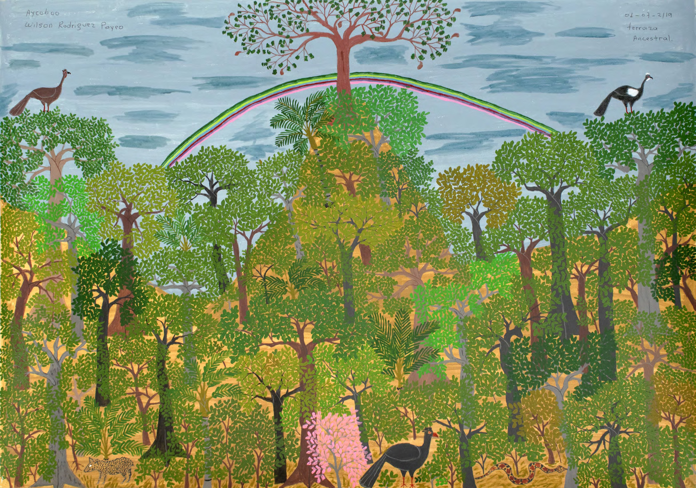 Lessons from the Forest: Arboreal at / Gallery