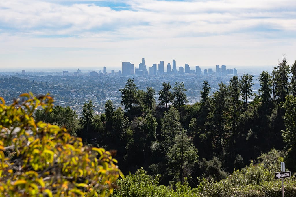 Variable West receives $45,000 grant from Critical Minded to support independent arts journalism in 2025